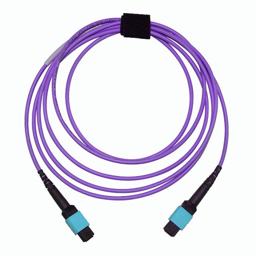 MTP® OM4+ Cable
